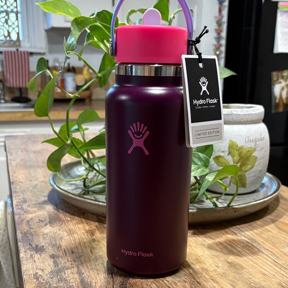 Hydro Flask Plum Bottle with Pink Lid and Handle